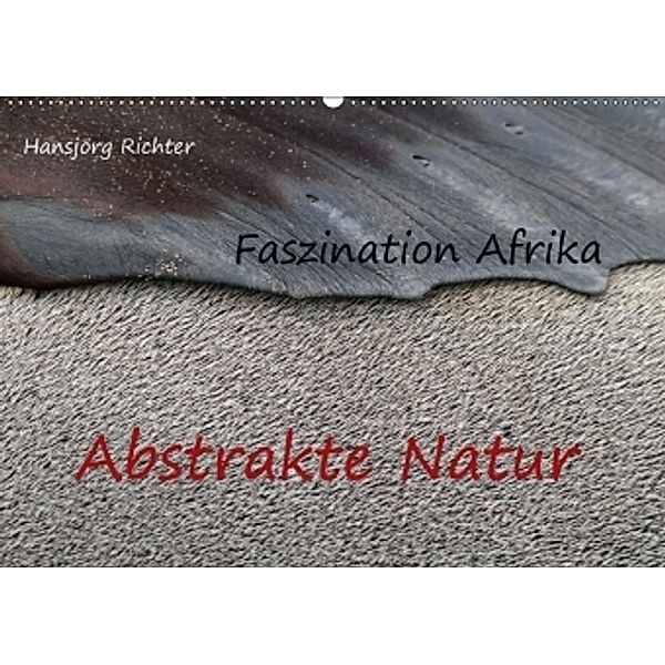 Faszination Afrika - Abstrakte Natur (Wandkalender 2017 DIN A2 quer), Hansjörg Richter