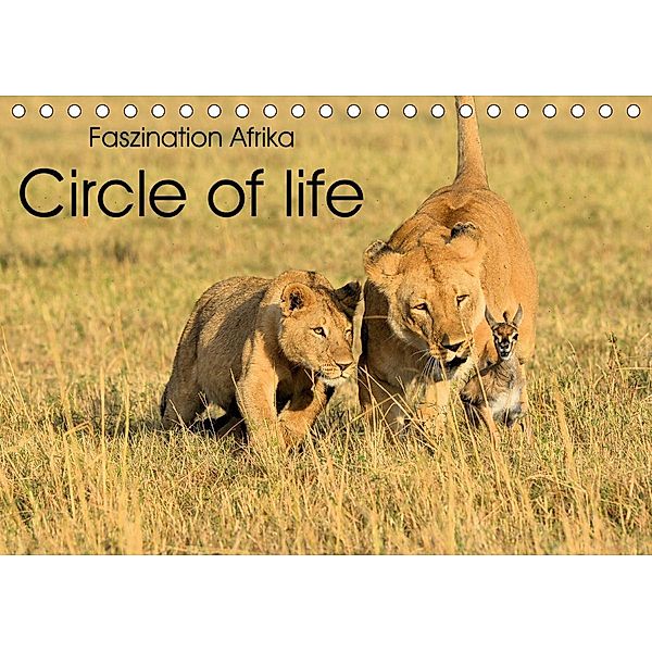 Faszination Afrika: Circle of life (Tischkalender 2021 DIN A5 quer), Elmar Weiss