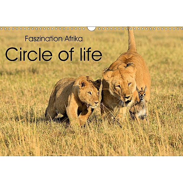 Faszination Afrika: Circle of life (Wandkalender 2021 DIN A3 quer), Elmar Weiss