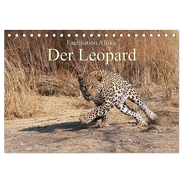 Faszination Afrika: Der Leopard (Tischkalender 2024 DIN A5 quer), CALVENDO Monatskalender, Elmar Weiß