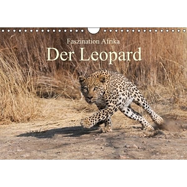 Faszination Afrika: Der Leopard (Wandkalender 2015 DIN A4 quer), Elmar Weiß