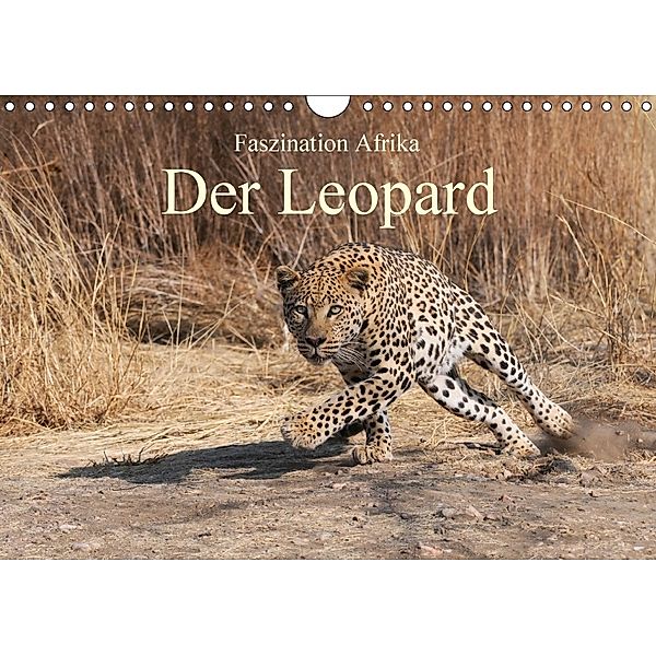 Faszination Afrika: Der Leopard (Wandkalender 2018 DIN A4 quer), Elmar Weiß