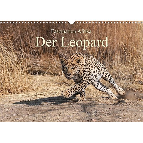 Faszination Afrika: Der Leopard (Wandkalender 2021 DIN A3 quer), Elmar Weiß