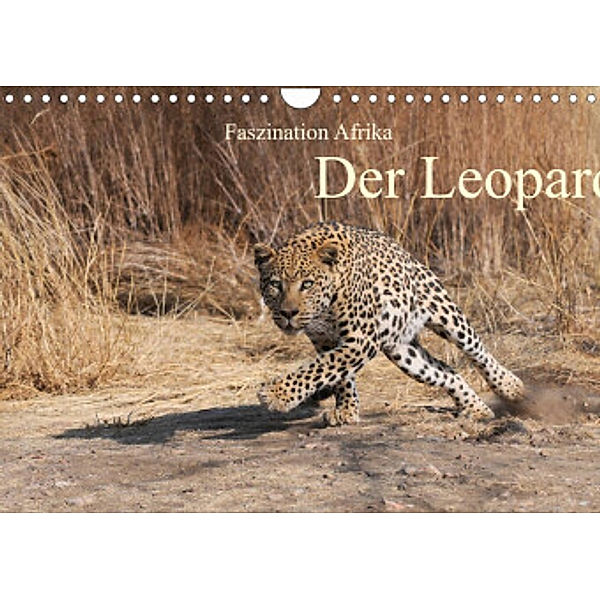 Faszination Afrika: Der Leopard (Wandkalender 2022 DIN A4 quer), Elmar Weiß