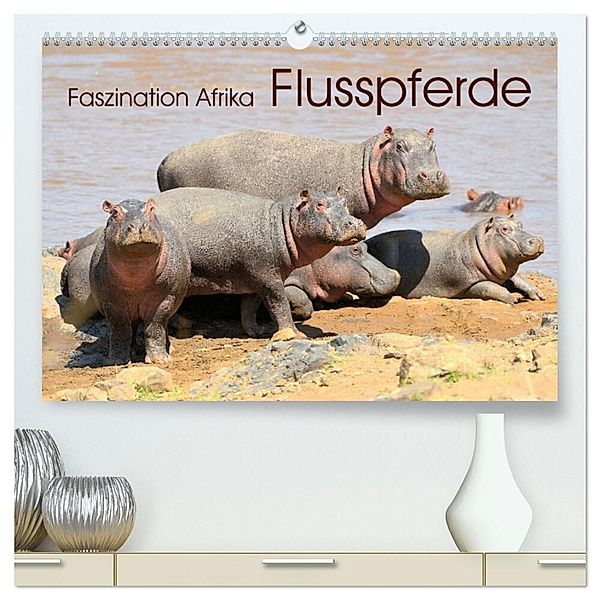 Faszination Afrika: Flusspferde (hochwertiger Premium Wandkalender 2025 DIN A2 quer), Kunstdruck in Hochglanz, Calvendo, Elmar Weiß