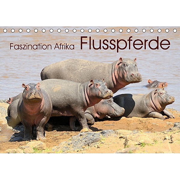 Faszination Afrika: Flusspferde (Tischkalender 2021 DIN A5 quer), Elmar Weiss