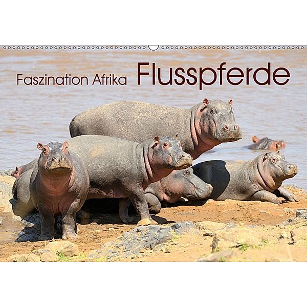 Faszination Afrika: Flusspferde (Wandkalender 2020 DIN A2 quer), Elmar Weiss