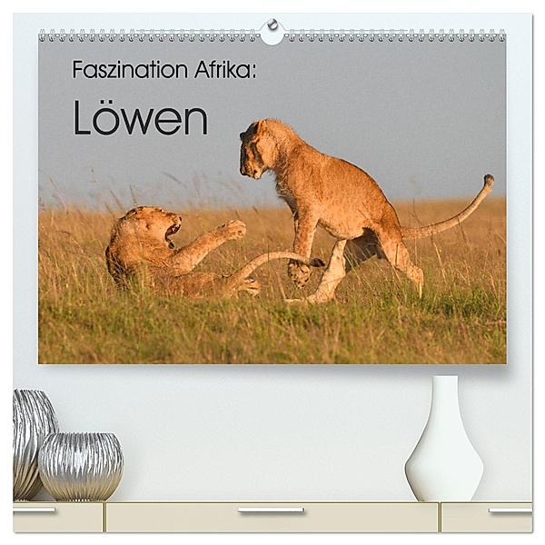 Faszination Afrika: Löwen (hochwertiger Premium Wandkalender 2025 DIN A2 quer), Kunstdruck in Hochglanz, Calvendo, Elmar Weiss