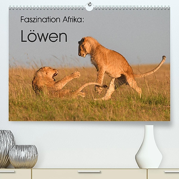 Faszination Afrika: Löwen (Premium, hochwertiger DIN A2 Wandkalender 2023, Kunstdruck in Hochglanz), Elmar Weiß