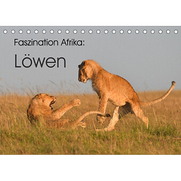 Faszination Afrika: Löwen (Tischkalender 2022 DIN A5 quer), Elmar Weiß