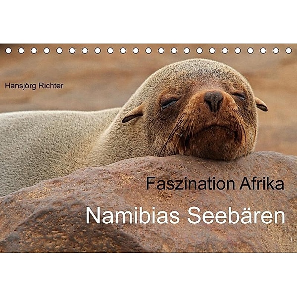 Faszination Afrika - Namibias Seebären (Tischkalender 2017 DIN A5 quer), Hansjörg Richter