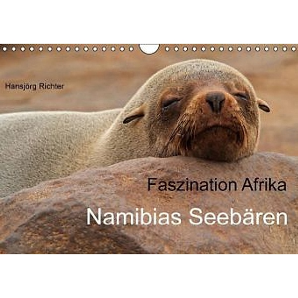 Faszination Afrika - Namibias Seebären (Wandkalender 2016 DIN A4 quer), Hansjörg Richter
