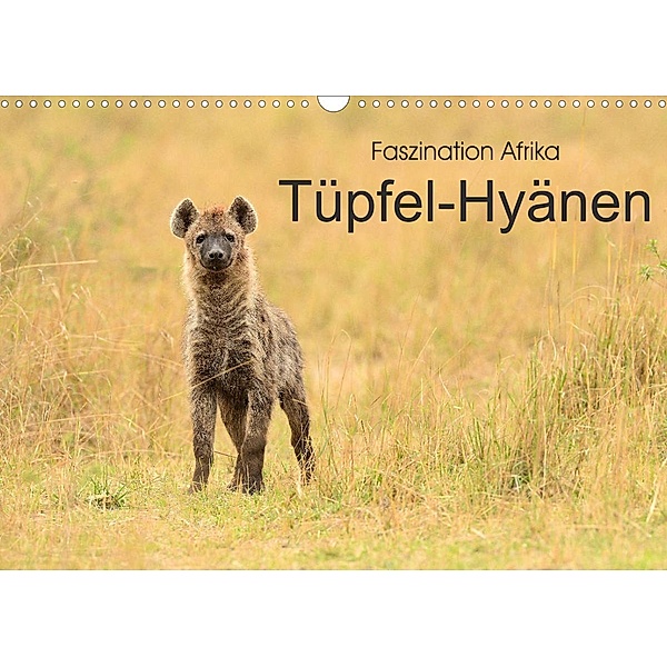 Faszination Afrika: Tüpfel-Hyänen (Wandkalender 2023 DIN A3 quer), Elmar Weiß