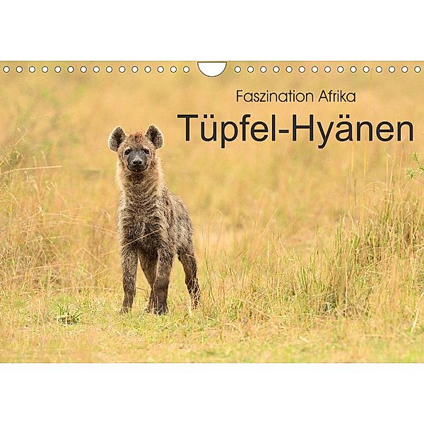 Faszination Afrika: Tüpfel-Hyänen (Wandkalender 2023 DIN A4 quer), Elmar Weiß