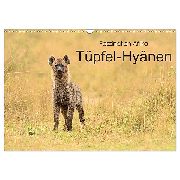 Faszination Afrika: Tüpfel-Hyänen (Wandkalender 2024 DIN A3 quer), CALVENDO Monatskalender, Elmar Weiß
