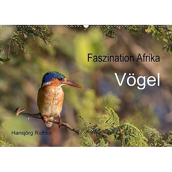 Faszination Afrika - Vögel (Wandkalender 2017 DIN A2 quer), Hansjörg Richter