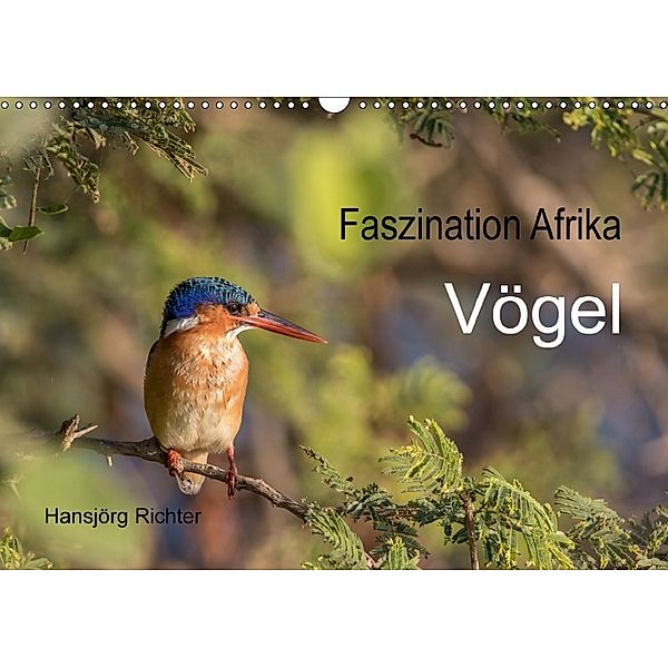 Faszination Afrika - Vögel (Wandkalender 2018 DIN A3 quer), www.hjr-fotografie.de