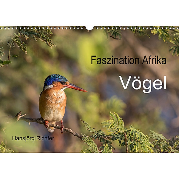 Faszination Afrika - Vögel (Wandkalender 2019 DIN A3 quer), www.hjr-fotografie.de