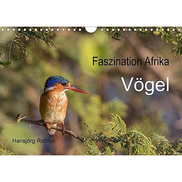 Faszination Afrika - Vögel (Wandkalender 2020 DIN A4 quer)