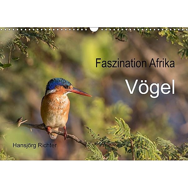 Faszination Afrika - Vögel (Wandkalender 2021 DIN A3 quer), www.hjr-fotografie.de