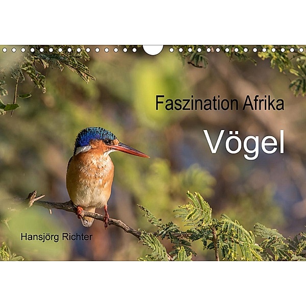 Faszination Afrika - Vögel (Wandkalender 2021 DIN A4 quer), www.hjr-fotografie.de