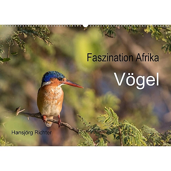 Faszination Afrika - Vögel (Wandkalender 2023 DIN A2 quer), www.hjr-fotografie.de