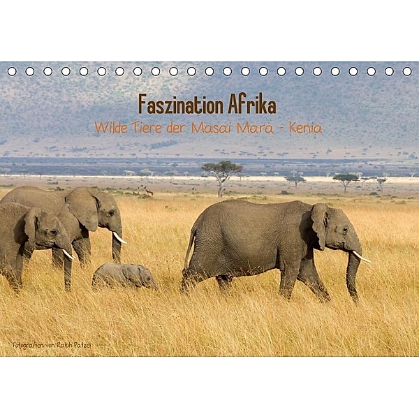 Faszination Afrika - wilde Tiere der Masai Mara - Kenia (Tischkalender 2017 DIN A5 quer), Ralph Patzel