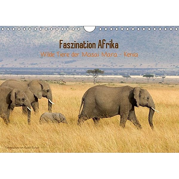 Faszination Afrika - wilde Tiere der Masai Mara - Kenia (Wandkalender 2017 DIN A4 quer), Ralph Patzel