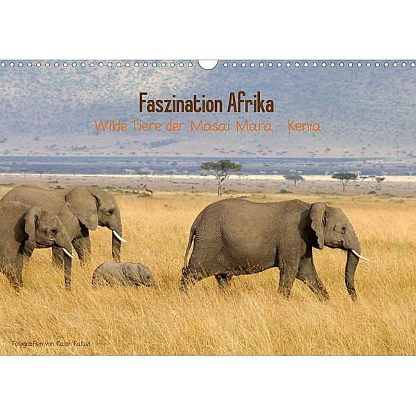 Faszination Afrika - wilde Tiere der Masai Mara - Kenia (Wandkalender 2023 DIN A3 quer), Ralph Patzel