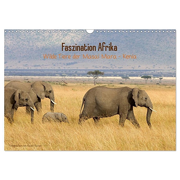 Faszination Afrika - wilde Tiere der Masai Mara - Kenia (Wandkalender 2024 DIN A3 quer), CALVENDO Monatskalender, Ralph Patzel