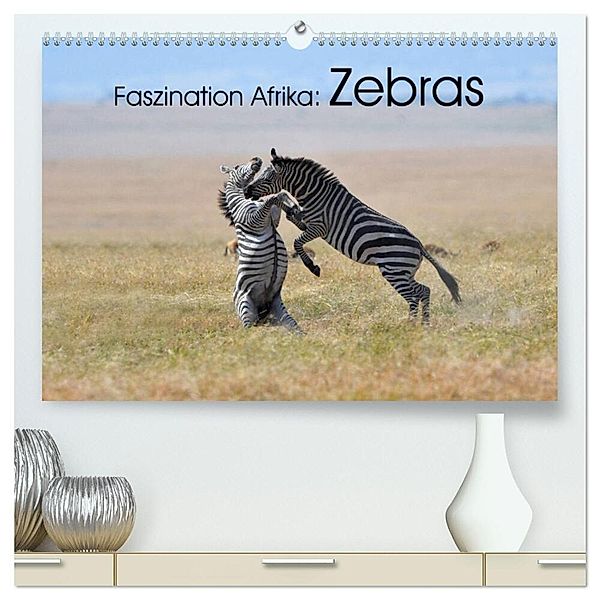 Faszination Afrika: Zebras (hochwertiger Premium Wandkalender 2024 DIN A2 quer), Kunstdruck in Hochglanz, Elmar Weiß