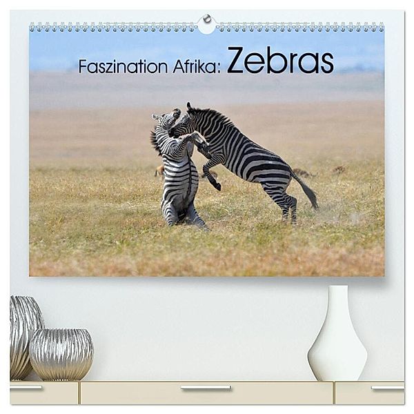 Faszination Afrika: Zebras (hochwertiger Premium Wandkalender 2025 DIN A2 quer), Kunstdruck in Hochglanz, Calvendo, Elmar Weiß