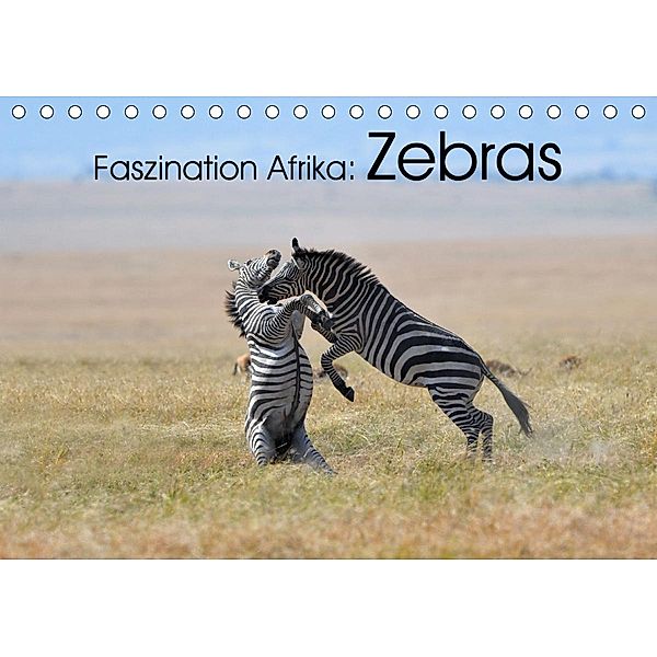 Faszination Afrika: Zebras (Tischkalender 2021 DIN A5 quer), Elmar Weiss