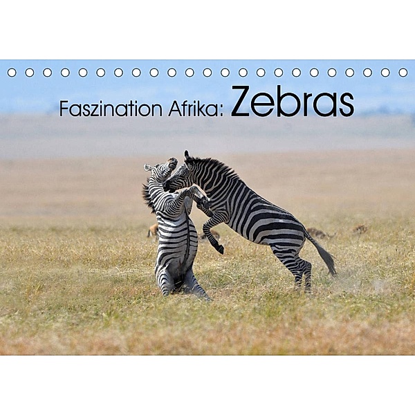 Faszination Afrika: Zebras (Tischkalender 2023 DIN A5 quer), Elmar Weiß