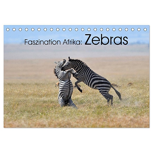 Faszination Afrika: Zebras (Tischkalender 2024 DIN A5 quer), CALVENDO Monatskalender, Elmar Weiß