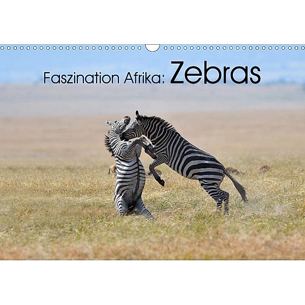Faszination Afrika: Zebras (Wandkalender 2021 DIN A3 quer), Elmar Weiss