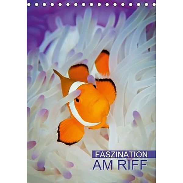 Faszination am Riff (Tischkalender 2016 DIN A5 hoch), Calvendo