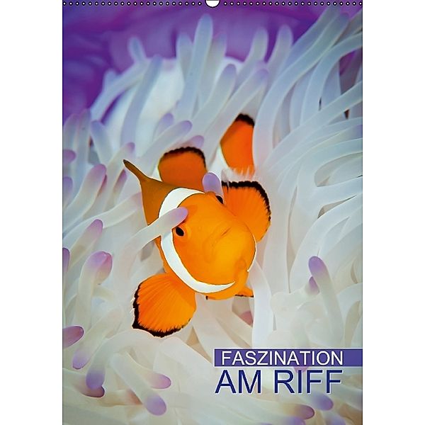 Faszination am Riff (Wandkalender 2014 DIN A2 hoch)