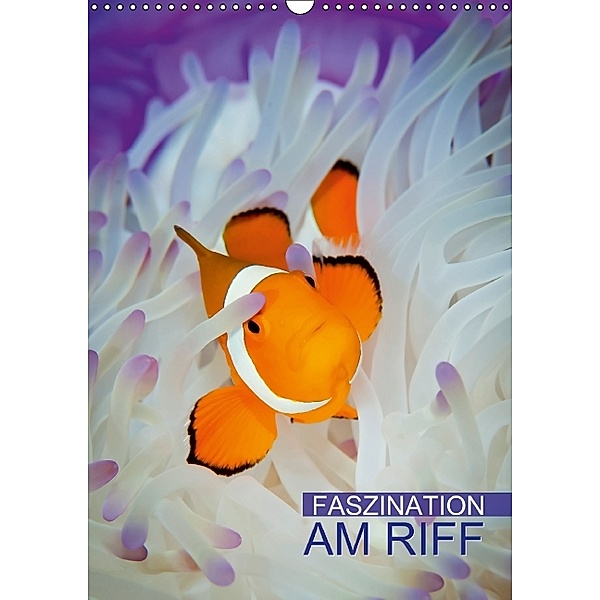 Faszination am Riff (Wandkalender 2014 DIN A3 hoch)