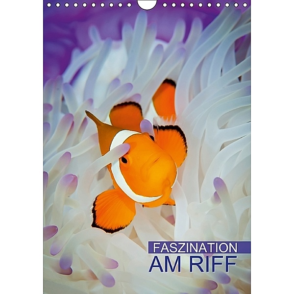 Faszination am Riff (Wandkalender 2014 DIN A4 hoch)