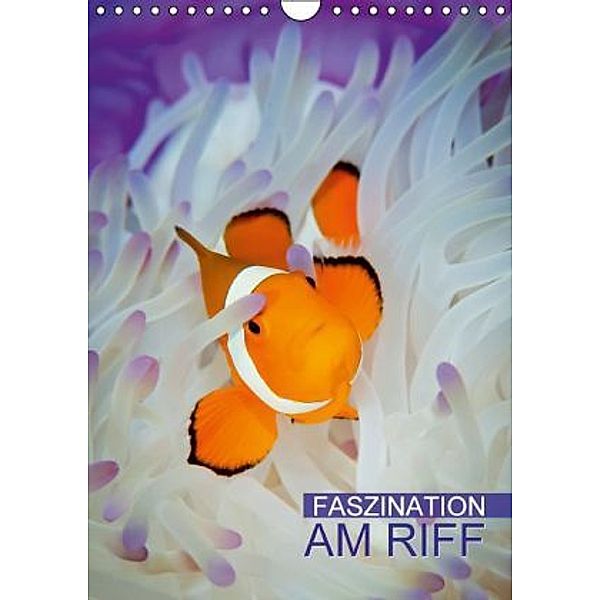 Faszination am Riff (Wandkalender 2016 DIN A4 hoch), Calvendo