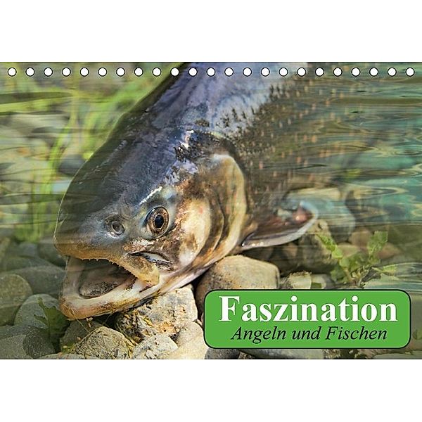 Faszination Angeln und Fischen (Tischkalender 2017 DIN A5 quer), Elisabeth Stanzer