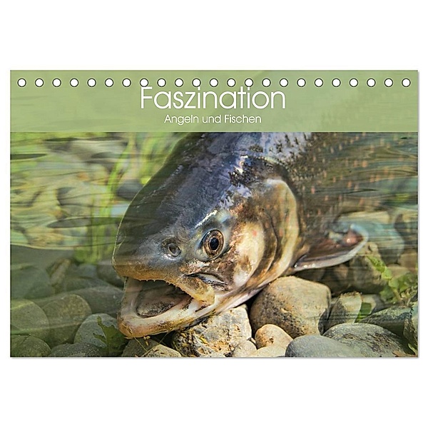 Faszination Angeln und Fischen (Tischkalender 2024 DIN A5 quer), CALVENDO Monatskalender, Elisabeth Stanzer