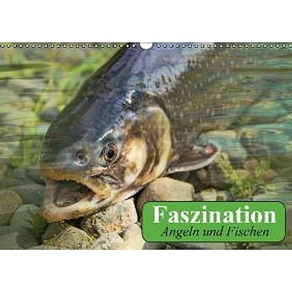 Faszination Angeln und Fischen (Wandkalender 2016 DIN A3 quer), Elisabeth Stanzer