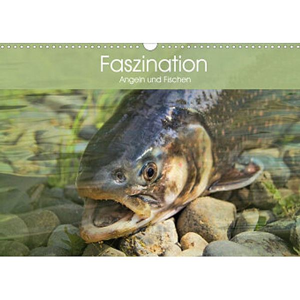 Faszination Angeln und Fischen (Wandkalender 2022 DIN A3 quer), Elisabeth Stanzer