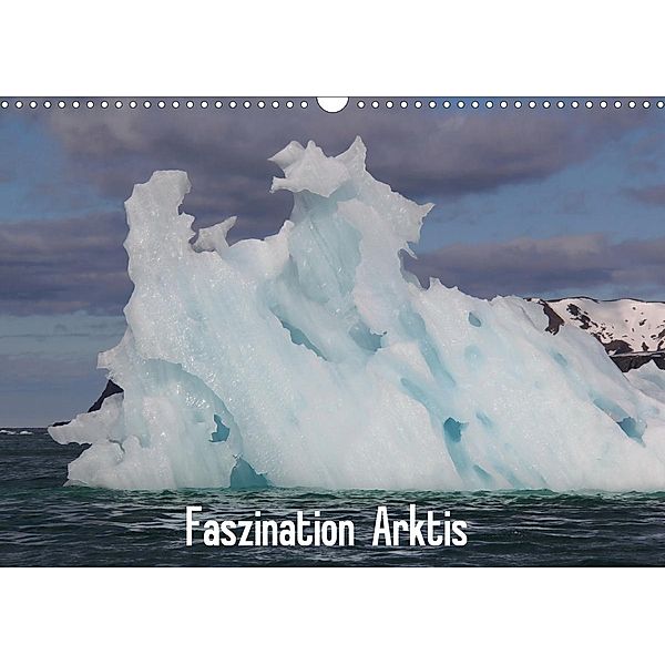 Faszination Arktis (Wandkalender 2021 DIN A3 quer), Heike Springer