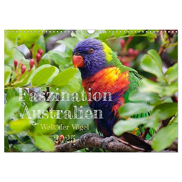 Faszination Australien - Welt der Vögel (Wandkalender 2025 DIN A3 quer), CALVENDO Monatskalender, Calvendo, Holm Anders