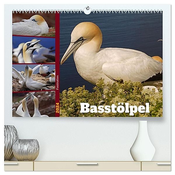 Faszination Basstölpel (hochwertiger Premium Wandkalender 2024 DIN A2 quer), Kunstdruck in Hochglanz, Babett Paul - Babetts Bildergalerie