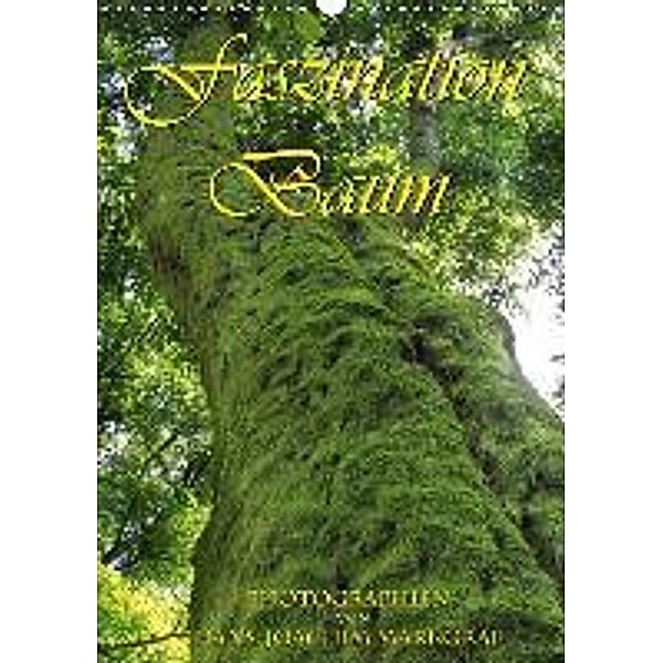 Faszination Baum (Wandkalender 2016 DIN A3 hoch), Hans-Joachim Markgraf