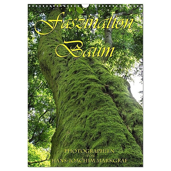 Faszination Baum (Wandkalender 2024 DIN A3 hoch), CALVENDO Monatskalender, Hans-Joachim Markgraf